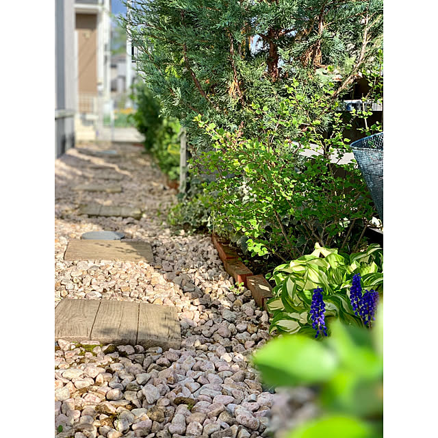 hirokoさんの実例写真