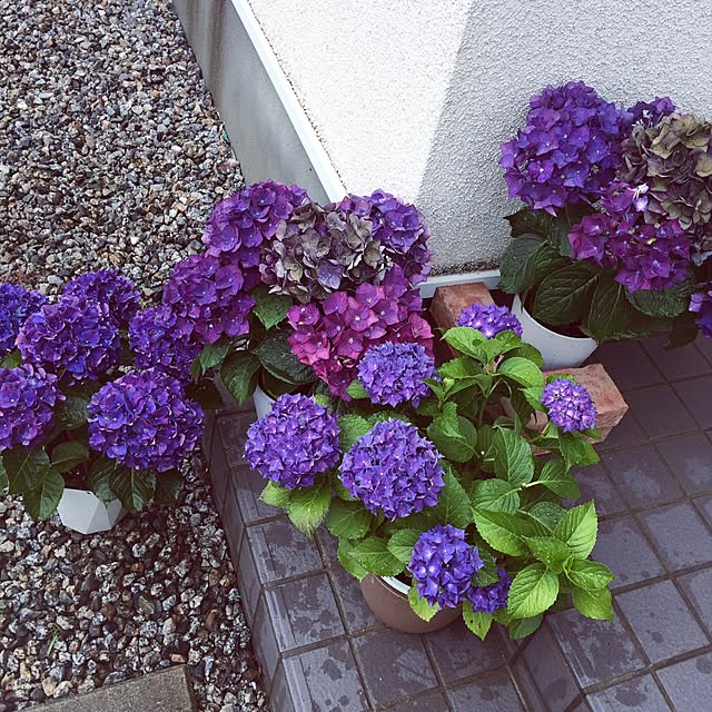piano.ya168さんの実例写真