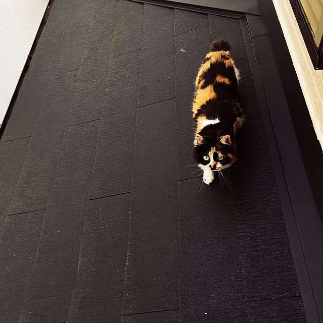 tawashimarukoさんの実例写真