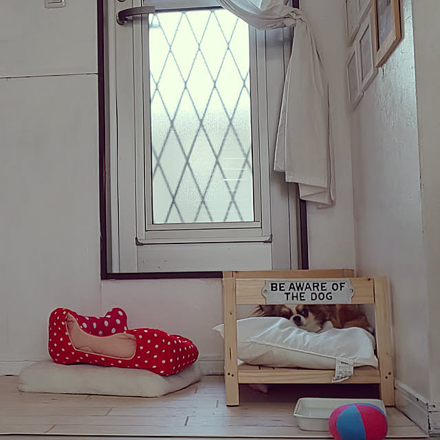 M_house_officialさんの実例写真