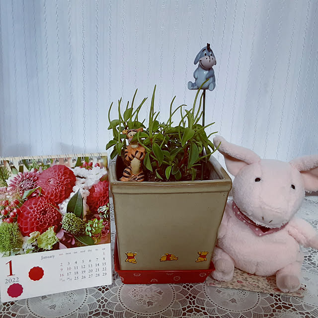 katさんの実例写真