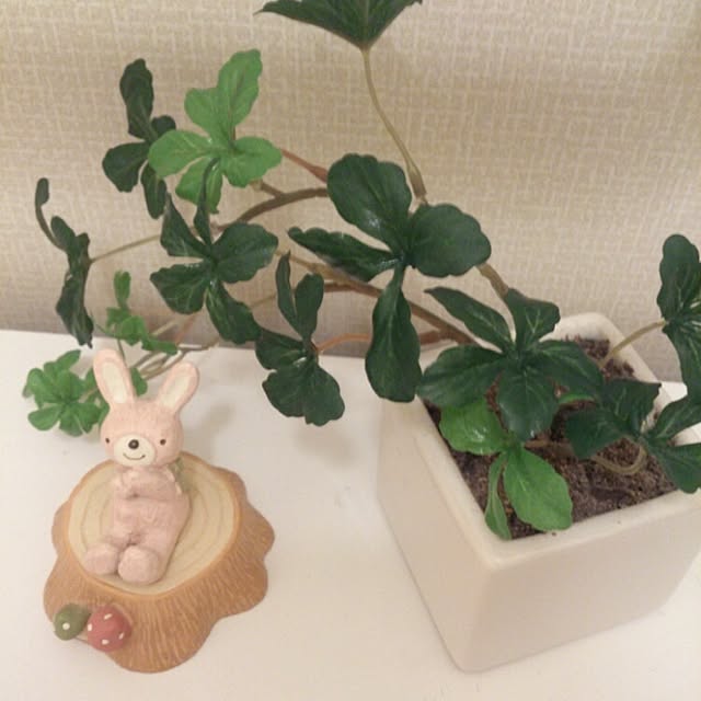 momoさんの実例写真