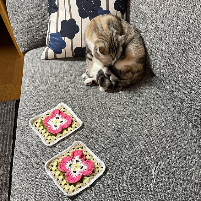 編み物/ハンドメイド/ソファ/ねこと暮らす。/ねこ...などのインテリア実例 - 2020-12-23 20:50:43