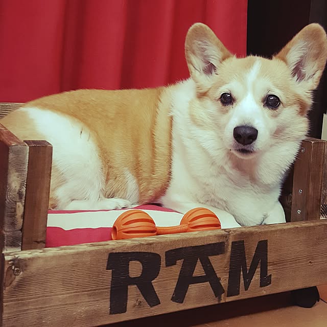 ram524さんの実例写真