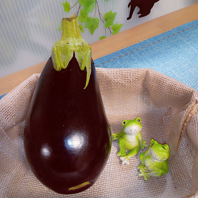 mocomocoさんの実例写真