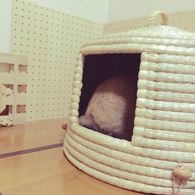 Akariさんの実例写真