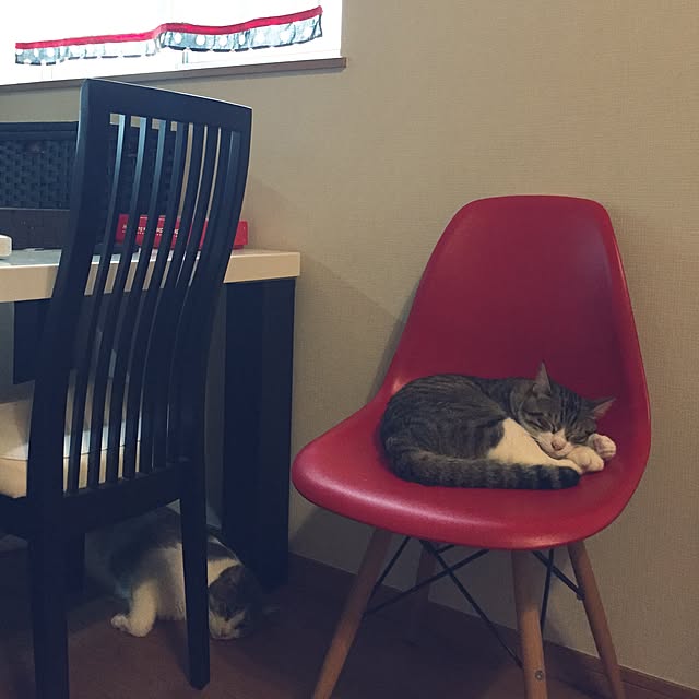 jun0409さんの実例写真