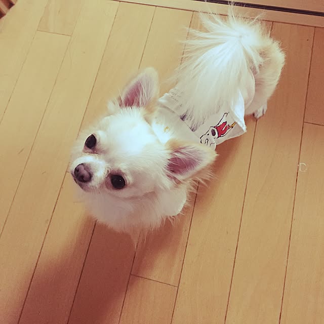 hananaさんの実例写真