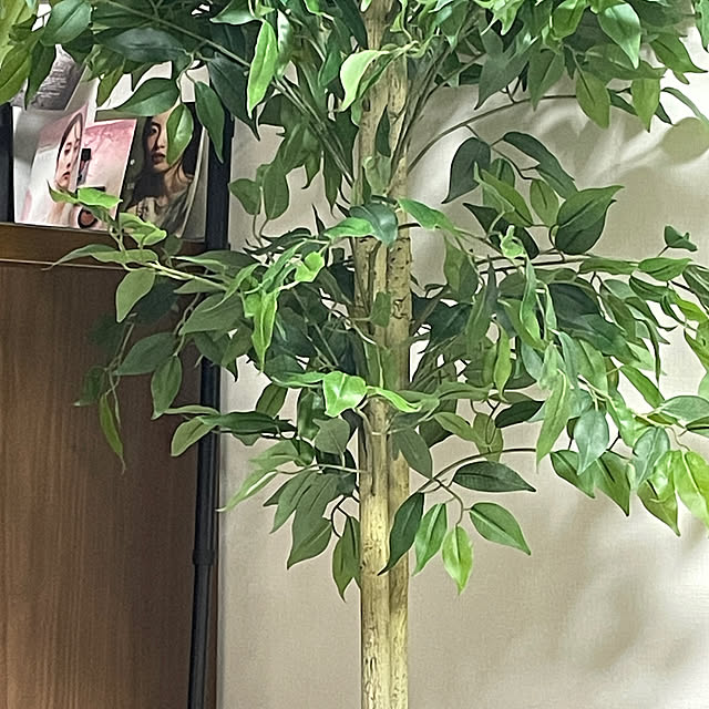 miyuさんの実例写真
