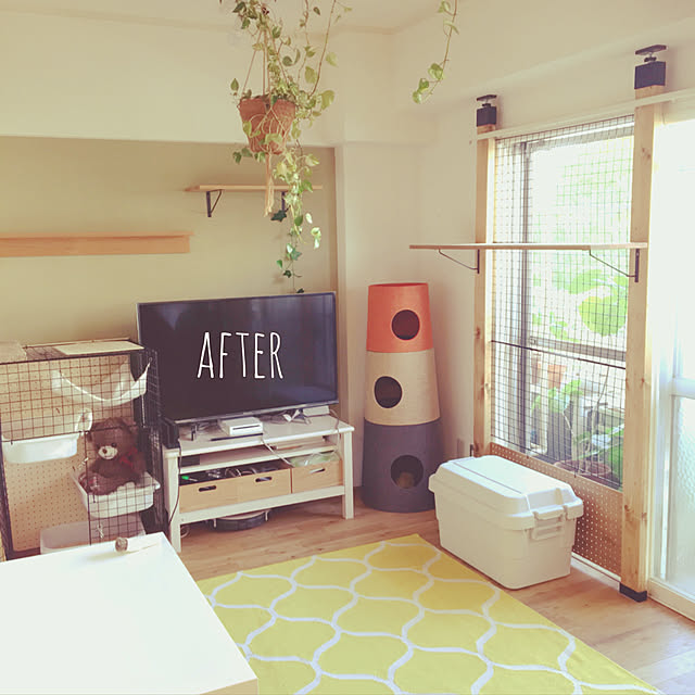 accorinさんの実例写真