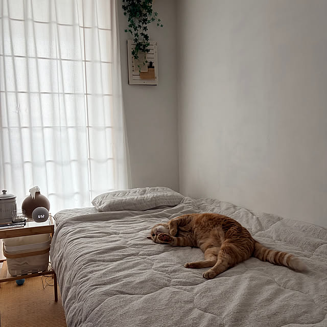 Atelier.mさんの実例写真