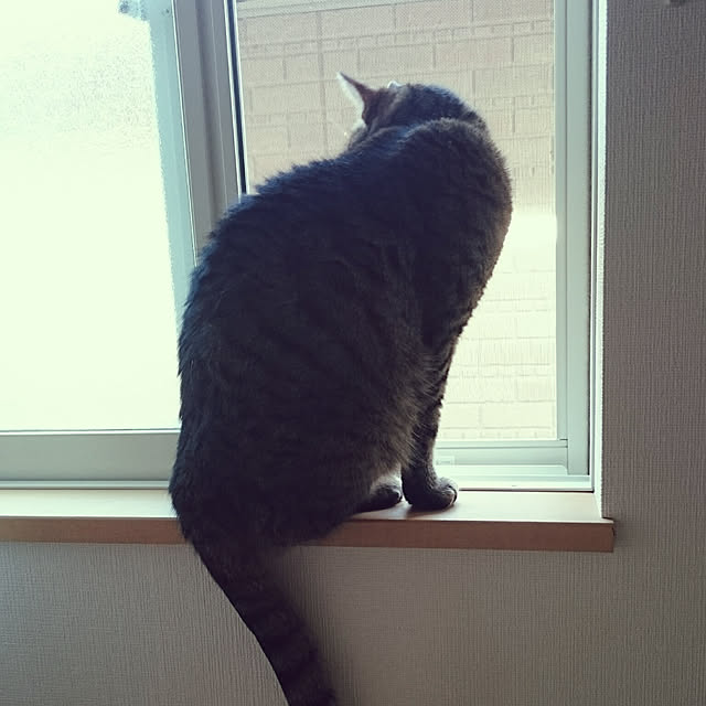 lilyさんの実例写真