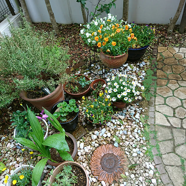 okyosan101さんの実例写真