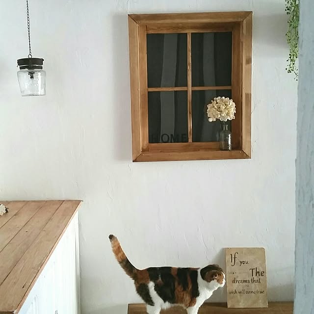 mikiさんの実例写真