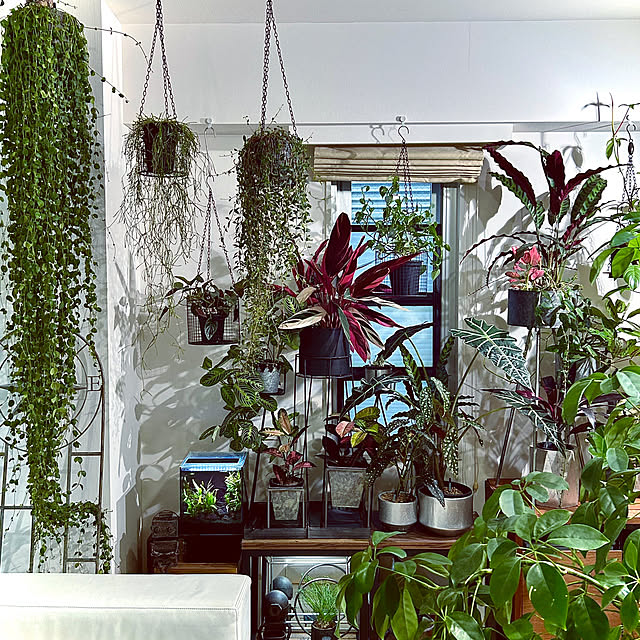 DAYONEさんの実例写真