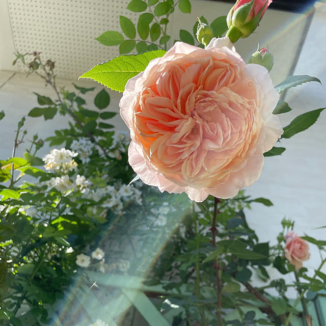 hinataさんの実例写真