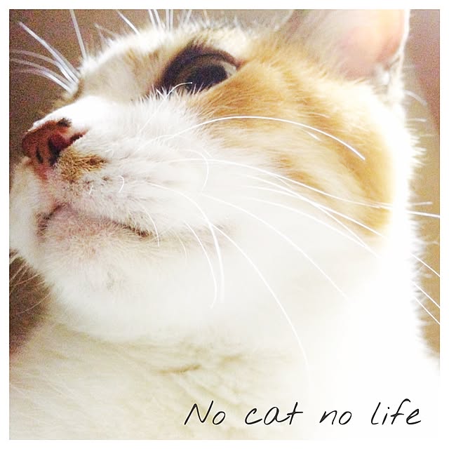 manatomoさんの実例写真