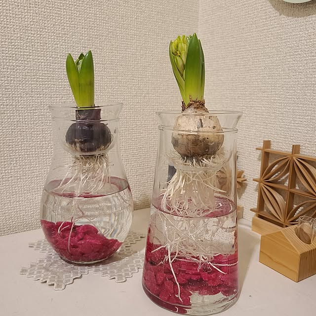 yuukaringoさんの実例写真