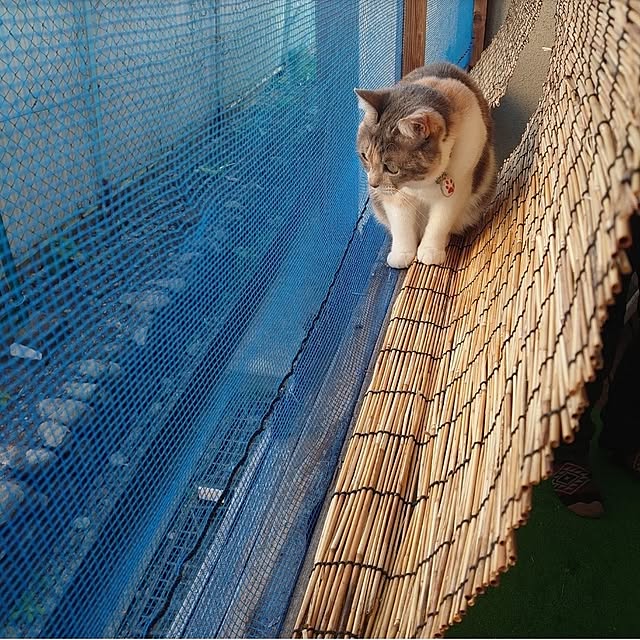 fukuさんの実例写真