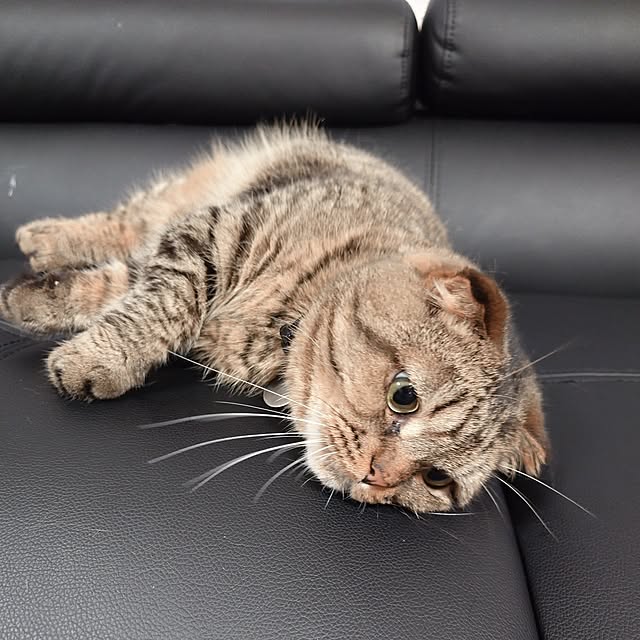 noguriさんの部屋