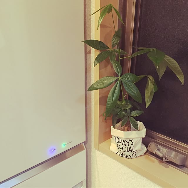 sen.yさんの実例写真