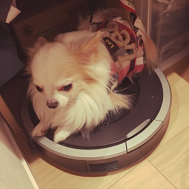 chibichieさんの実例写真