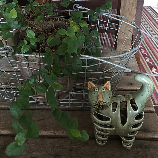 ikukoさんの実例写真