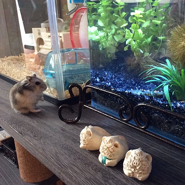 実例写真