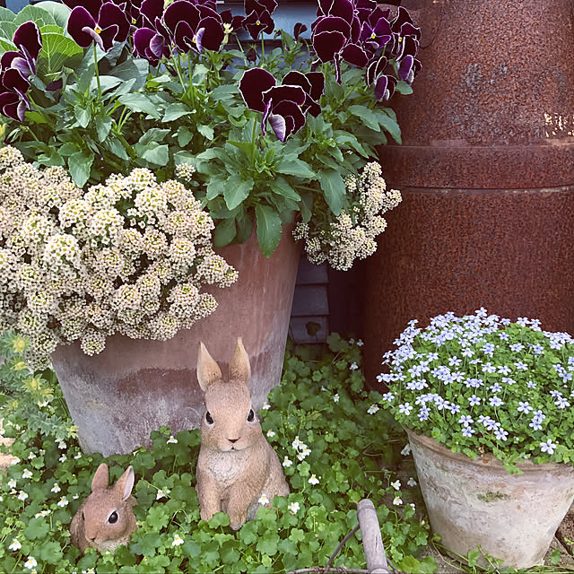 mikiさんの部屋