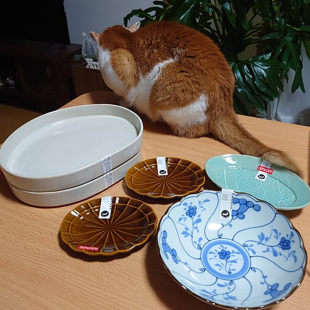 mugi77327732さんの実例写真