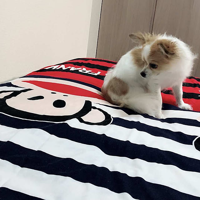 anさんの実例写真