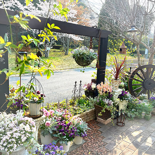 soraさんの実例写真