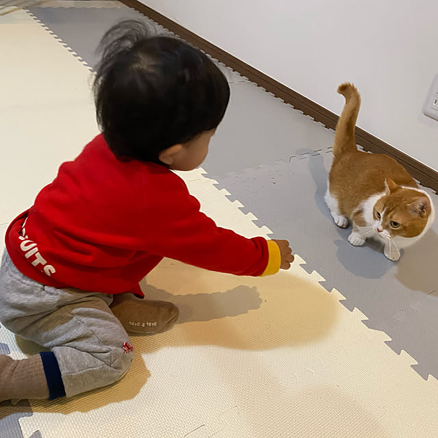 KotarouKunさんの実例写真