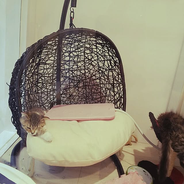 emmyyさんの実例写真