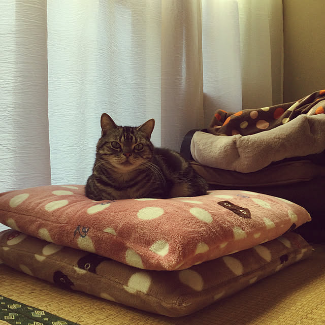 richanさんの実例写真