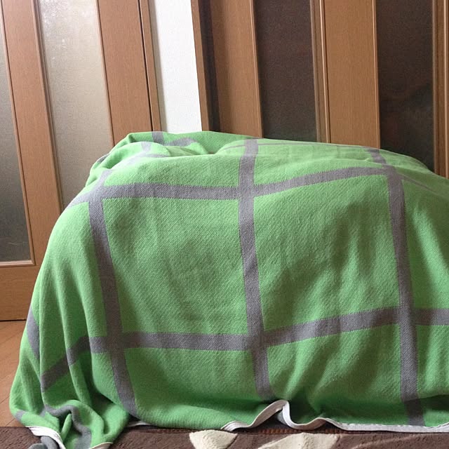 331momoさんの実例写真