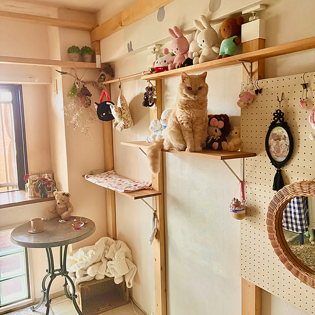 naokoさんの部屋