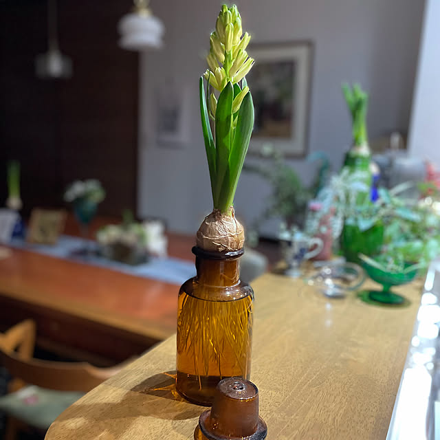 buchiさんの部屋