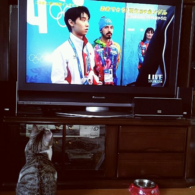 emmyyさんの実例写真
