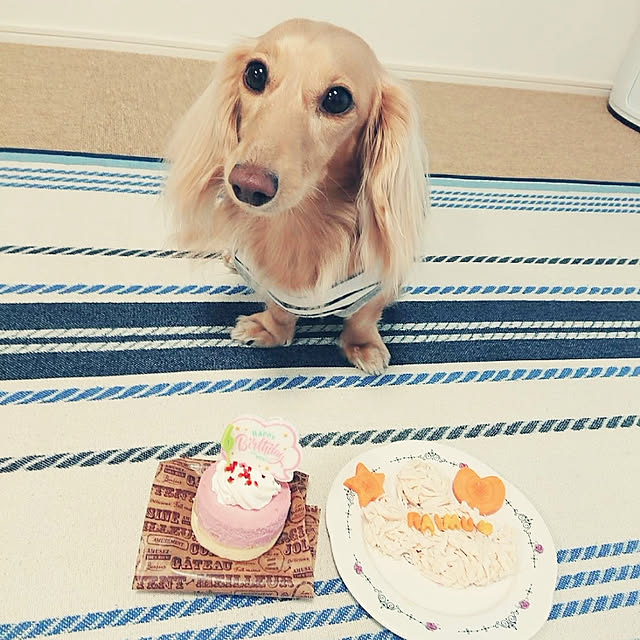 Masaakiさんの実例写真