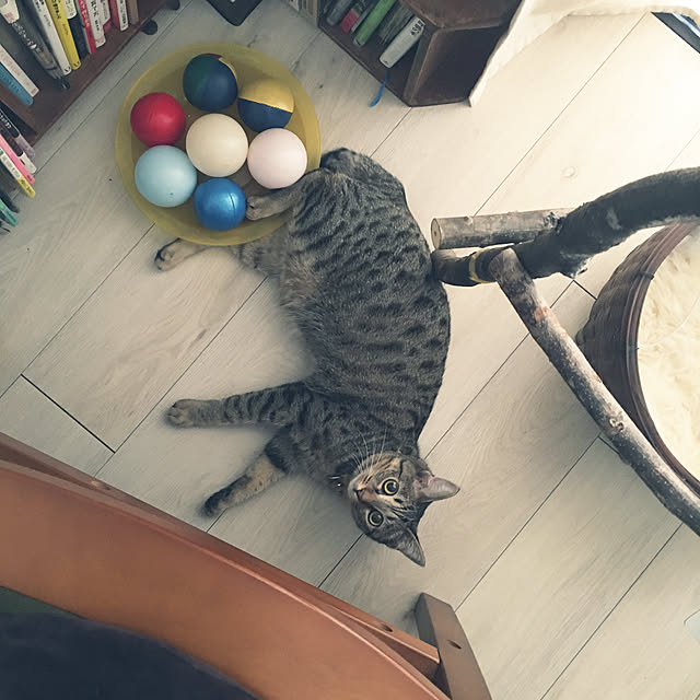 Mさんの実例写真