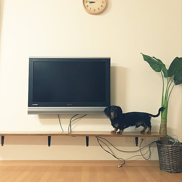 mamiさんの実例写真