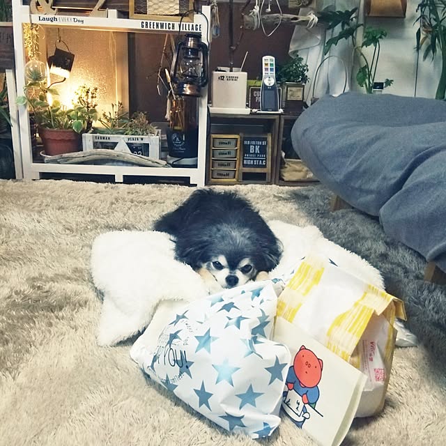 satominさんの実例写真