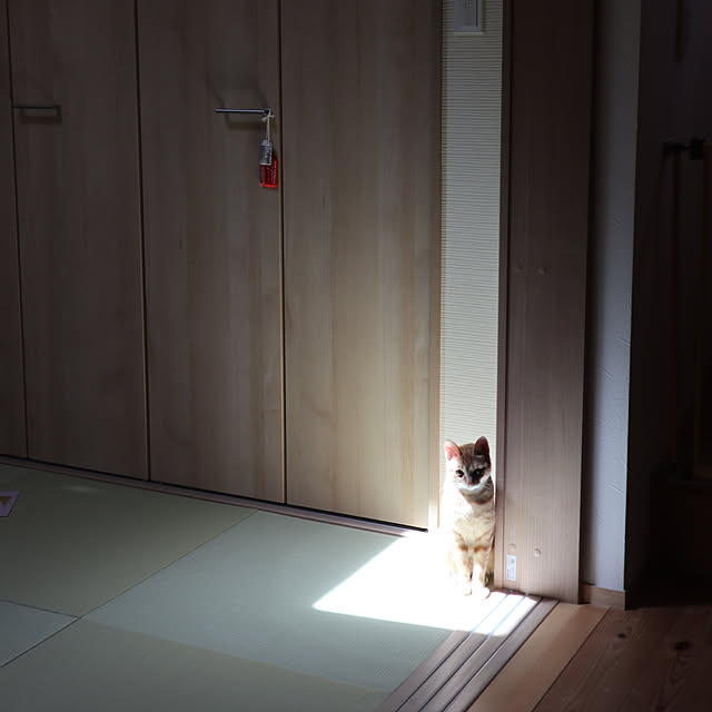 takakoさんの実例写真