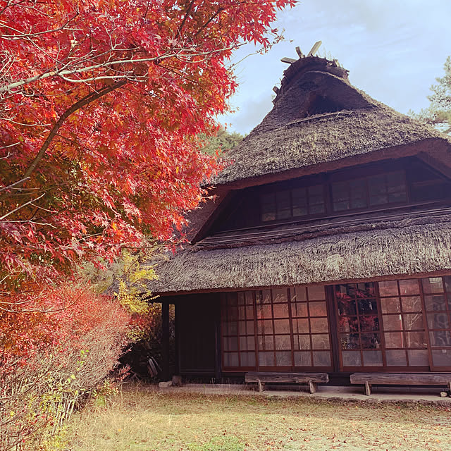 実例写真
