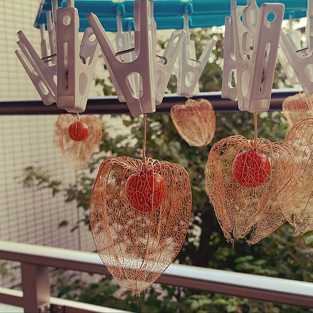 akinkoさんの実例写真