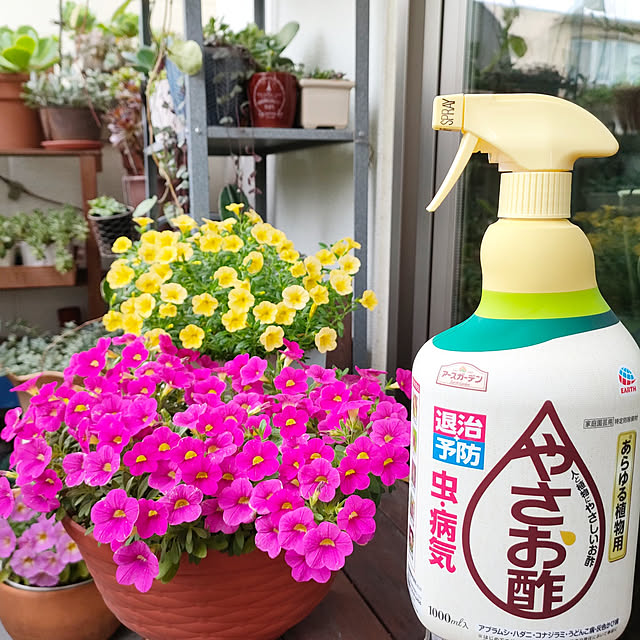 VERANDARJUNさんの実例写真