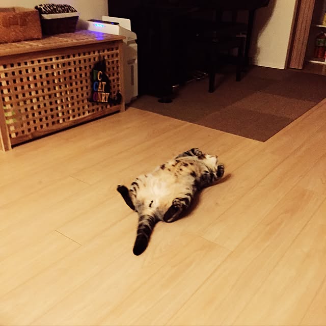 y.k.0123さんの実例写真