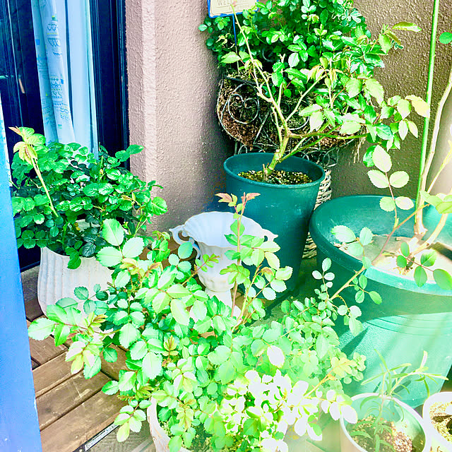 naokoさんの部屋