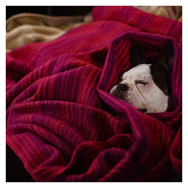 chobinonさんの実例写真